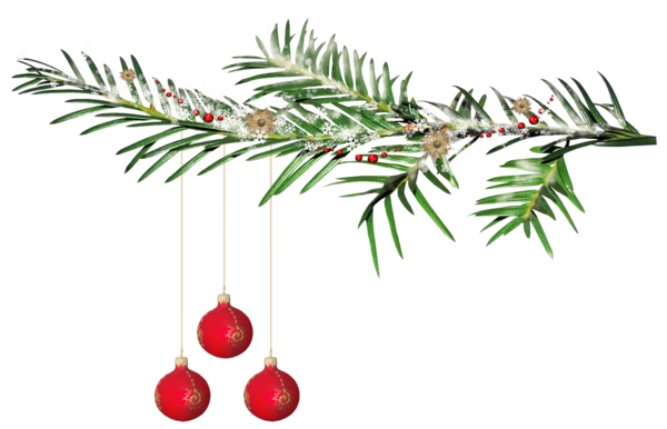 Transparent New Year Tree Christmas Ornament Branch Fir Pine Family for Christmas