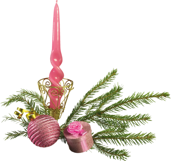 Transparent Animation Christmas Blog Pink Pine Family for Christmas
