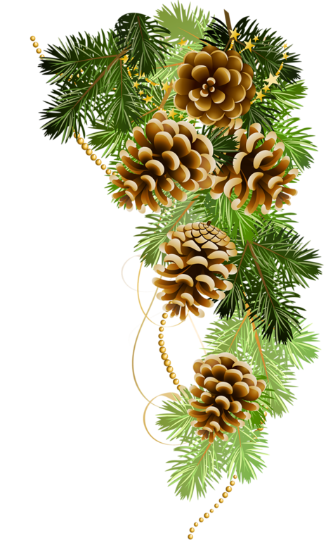 Transparent Christmas Ornament Christmas Day Christmas Decoration Pine Family for Christmas