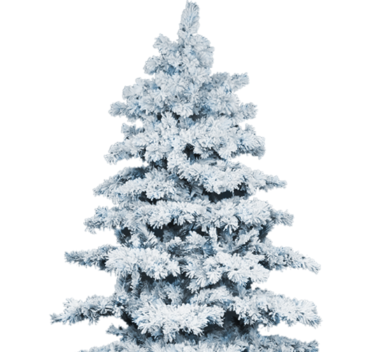 Transparent Snow Christmas Tree Tree Fir Pine Family for Christmas