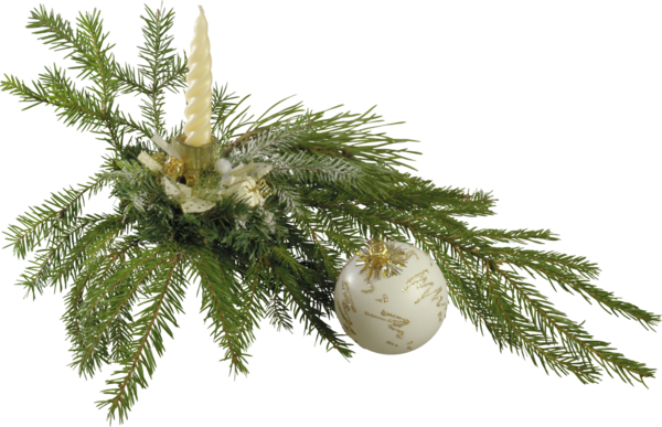 Transparent Christmas Smiley Wish Fir Pine Family for Christmas