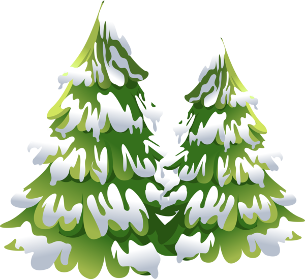 Transparent Spruce Fir Tree Christmas Tree for Christmas