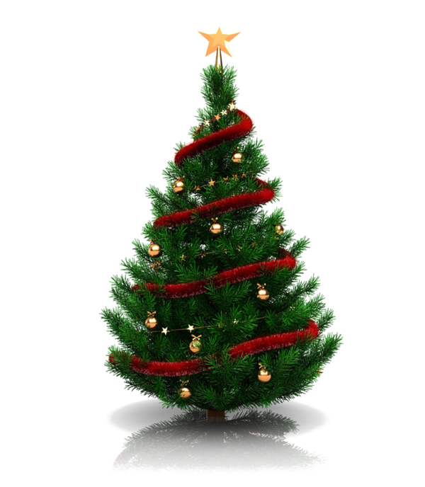 Transparent Christmas Tree Christmas Tree Fir Pine Family for Christmas