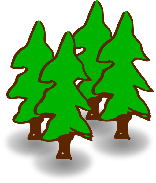 Transparent Forest Forestry Conifers Tree Green for Christmas