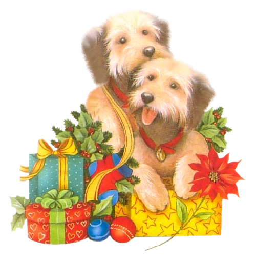 Transparent Yorkshire Terrier Norfolk Terrier Puppy Dog for Christmas