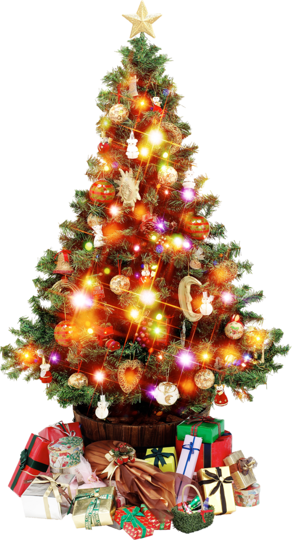 Transparent Visit From St Nicholas Christmas Christmas Tree Fir Pine Family for Christmas