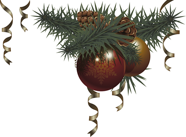 Transparent Oregon Pine Tree Fir for Christmas