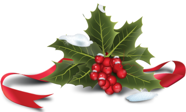 Transparent Christmas Christmas Plants Gift Aquifoliaceae Natural Foods for Christmas