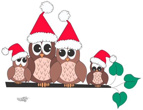 Transparent Owl Christmas Graphics Christmas Day Bird for Christmas