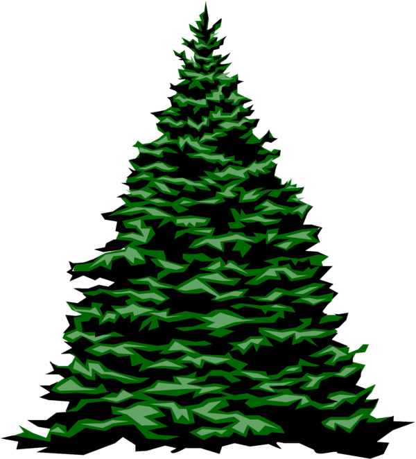 Transparent Tree Christmas Tree Christmas Fir Pine Family for Christmas