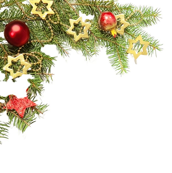 Transparent Oregon Pine Christmas Decoration Branch for Christmas