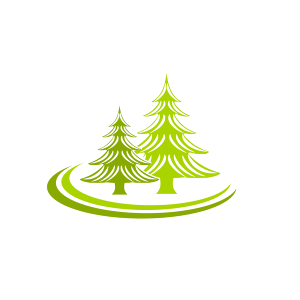 Transparent Tree Logo Spruce Fir Pine Family for Christmas
