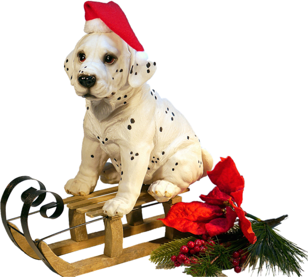 Transparent Samoyed Dog Christmas Kerstkrans Dog Puppy for Christmas