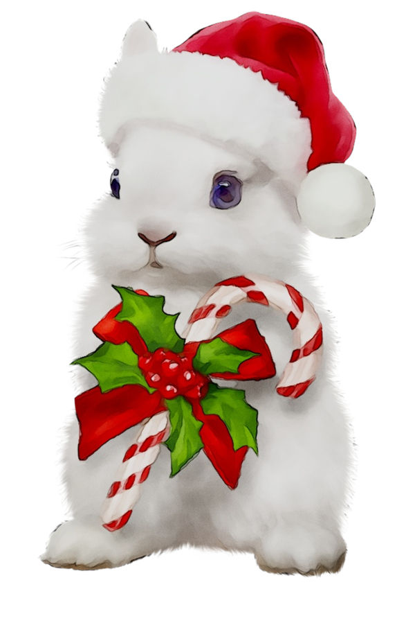 Transparent Christmas Ornament Character Animal Christmas Holiday for Christmas