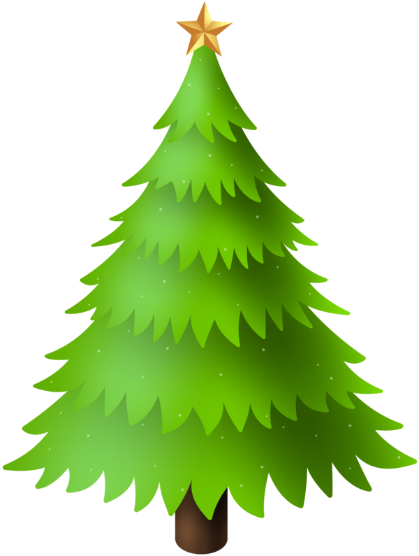 Transparent Christmas Day Pine Tree Colorado Spruce Oregon Pine for Christmas