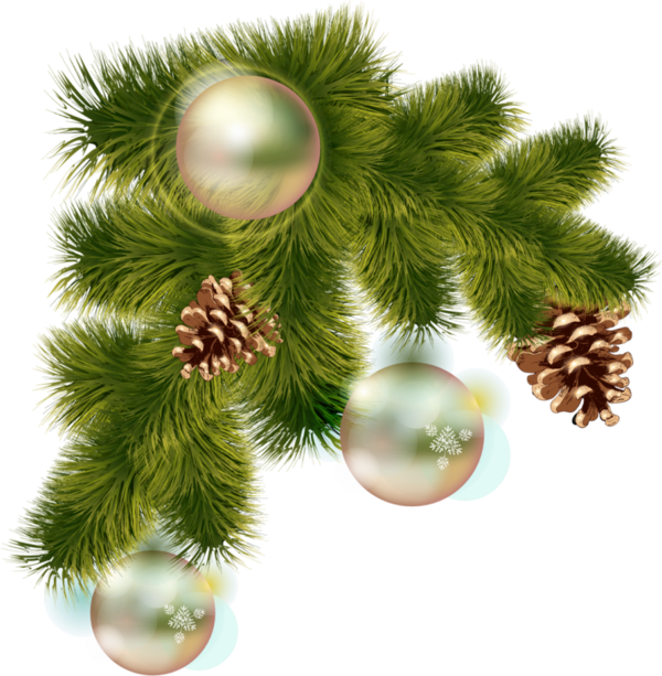 Transparent Christmas Christmas Ornament Editing Fir Pine Family for Christmas