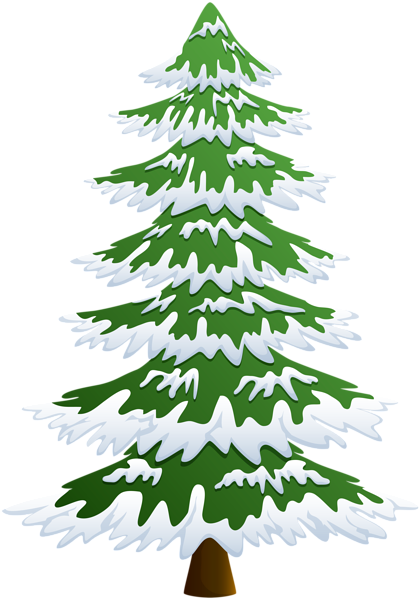 Transparent Cartoon Drawing Snow Fir Pine Family for Christmas