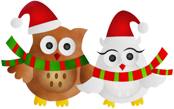 Transparent Owl Christmas Day Santa Claus Cartoon for Christmas