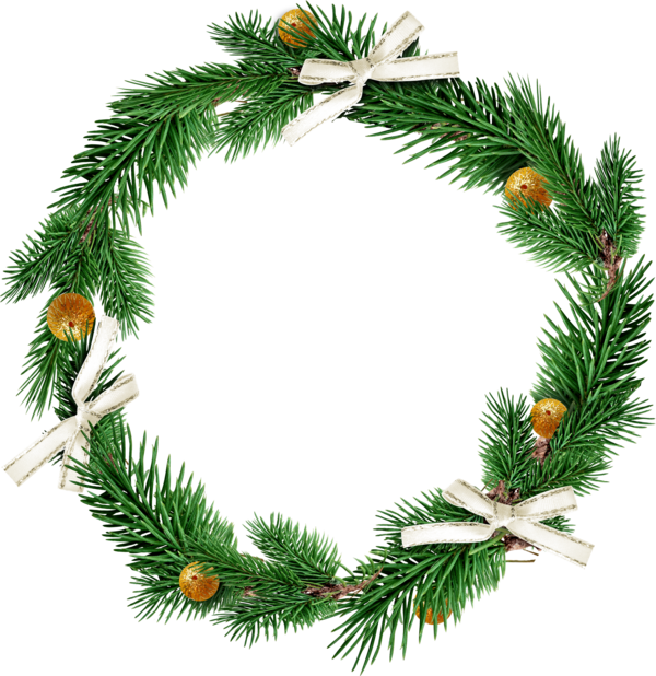 Transparent Christmas Christmas Decoration Disk Fir Pine Family for Christmas