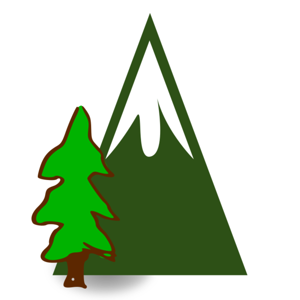 Transparent Map Map Symbolization Evergreen Fir Pine Family for Christmas
