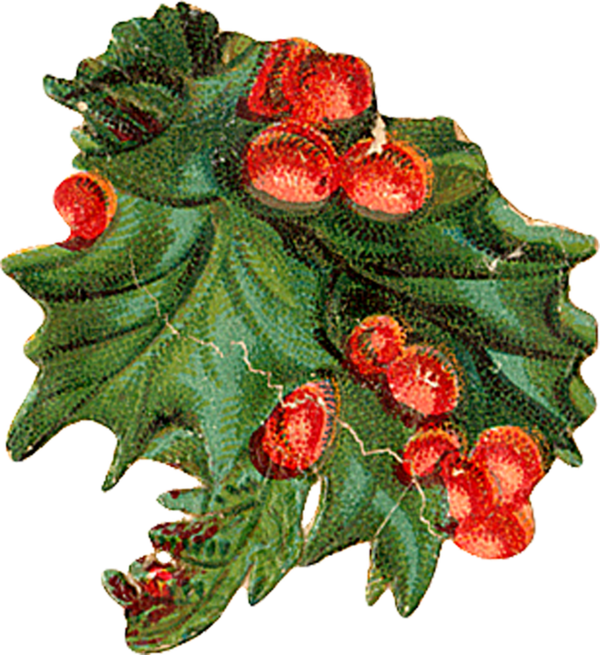 Transparent Holly Aquifoliales Christmas Ornament Leaf Fruit for Christmas