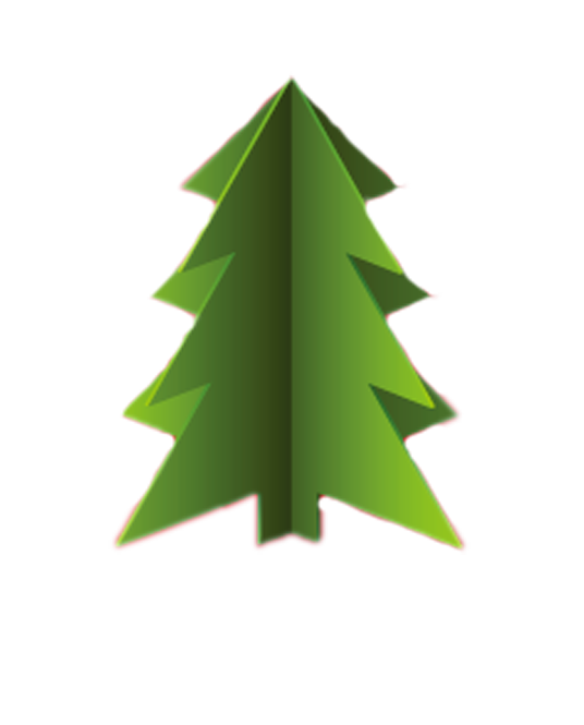 Transparent Tree Christmas Tree Green Fir Pine Family for Christmas