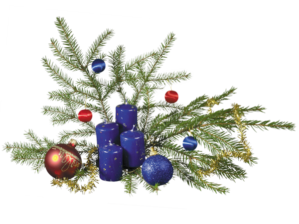 Transparent Ded Moroz Snegurochka New Year Tree Fir Pine Family for Christmas