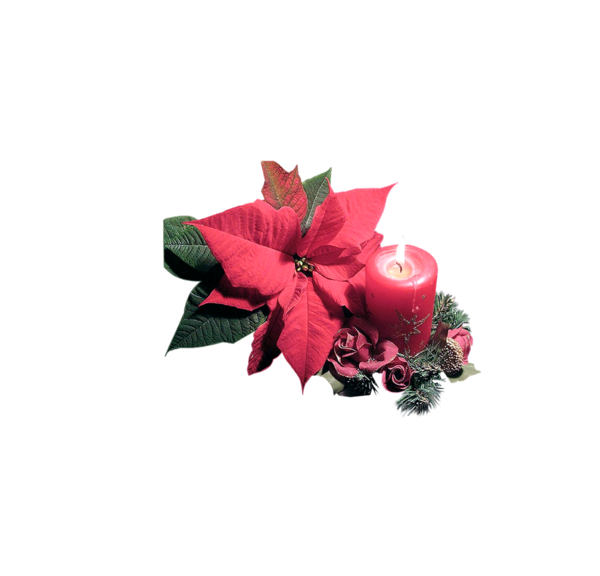 Transparent Christmas Animation Candle Petal Flower for Christmas