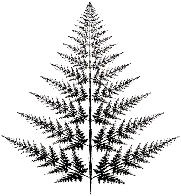 Transparent Spruce Christmas Ornament Christmas Tree Plant Tree for Christmas