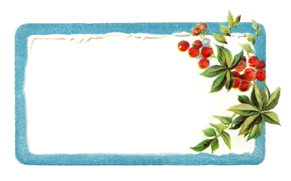 Transparent Borders And Frames Christmas Label Picture Frame Flower for Christmas