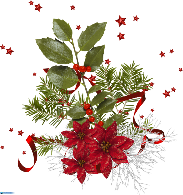 Transparent Flower Floral Design Holly Christmas Ornament Flora for Christmas
