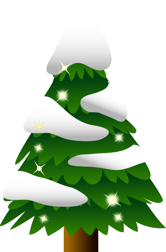 Transparent Abies Firma Tree Christmas Tree Fir Pine Family for Christmas