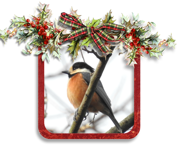 Transparent Scrapbooking Digital Scrapbooking Christmas Day Christmas Ornament Bird for Christmas