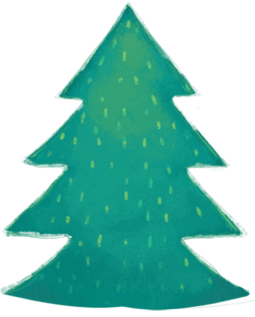 Transparent Fir Christmas Christmas Tree Pine Family for Christmas