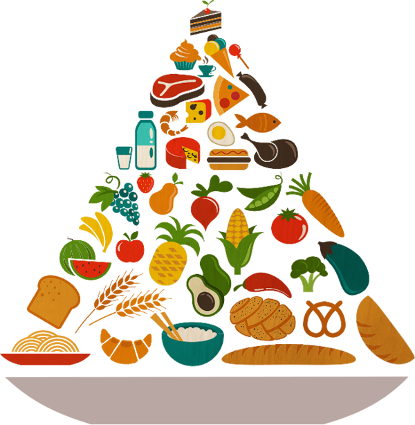 Transparent Infographic Health Food Food Pyramid Cuisine Christmas Decoration for Christmas