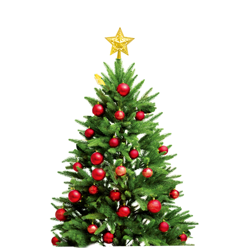 Transparent New Year Tree Christmas Tree Bolas Fir Pine Family for Christmas