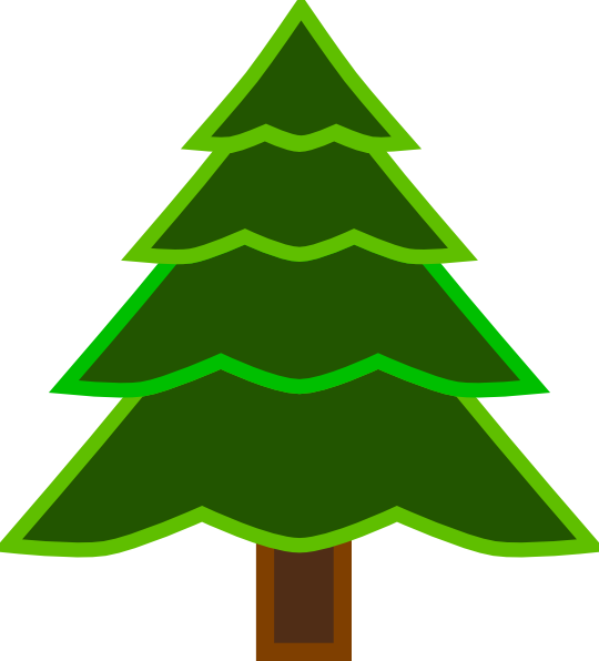 Transparent Fir Tree Pine Family for Christmas