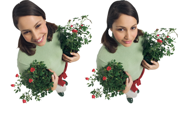 Transparent Woman Floral Design Garden Roses Christmas Decoration Christmas for Christmas