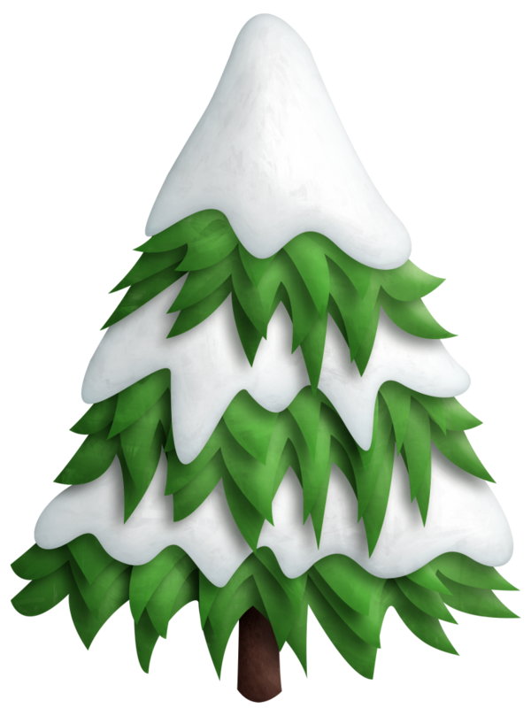 Transparent Pine Fir Christmas Tree Pine Family for Christmas