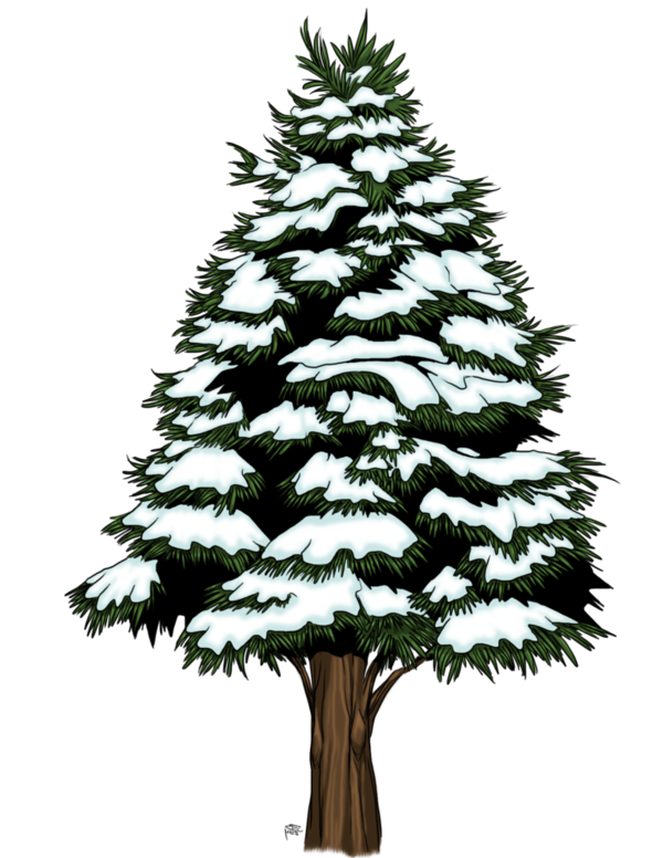 Transparent Spruce Fir Pine Tree Christmas Tree for Christmas