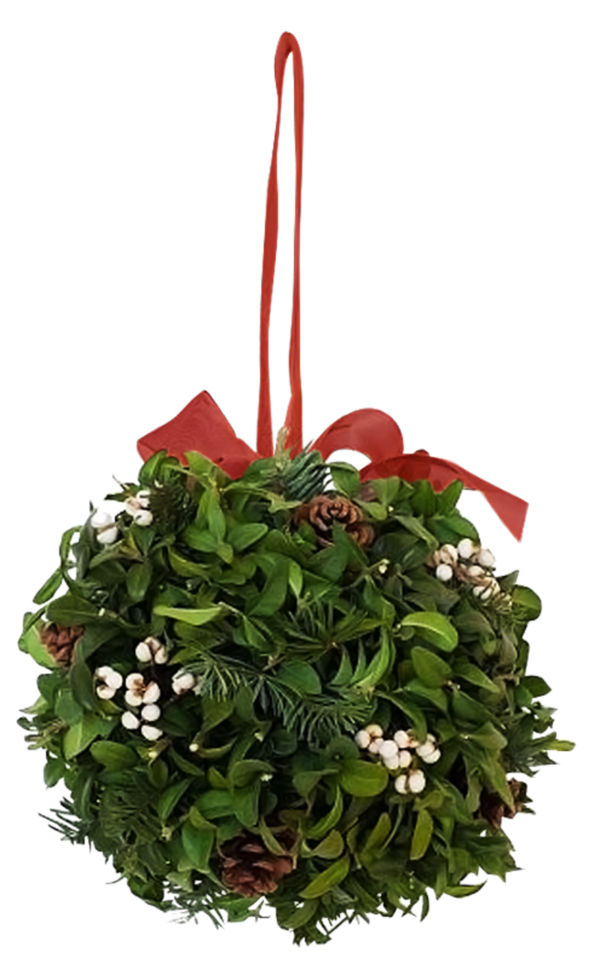 Transparent Floral Design 3d Computer Graphics Christmas Plant Flower for Christmas