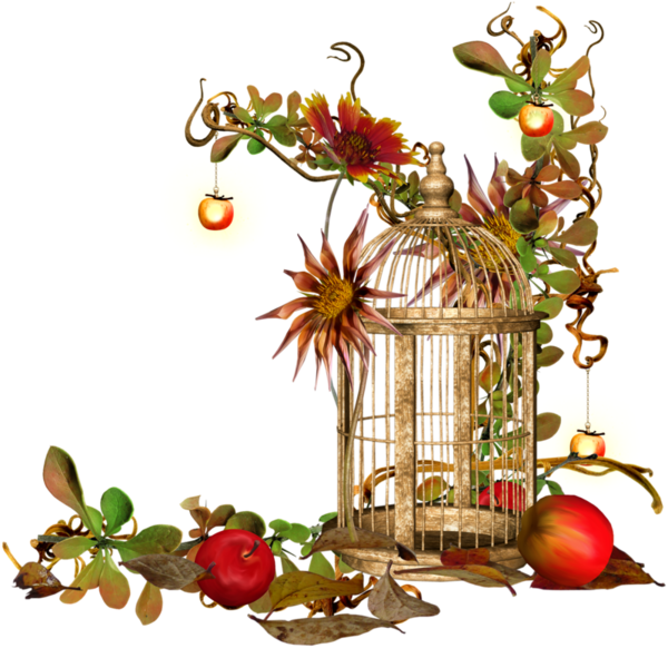 Transparent Autumn Cage Internet Christmas Decoration Flower for Christmas