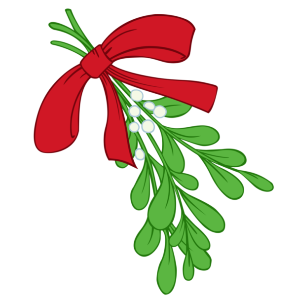 Transparent Flashcard Santa Claus Christmas Flower Leaf for Christmas