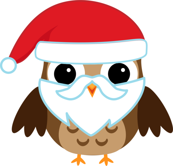 Transparent Owl Christmas Tawny Owl Beak for Christmas