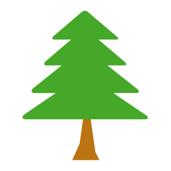 Transparent Drawing Fir Pine Christmas Tree Tree for Christmas