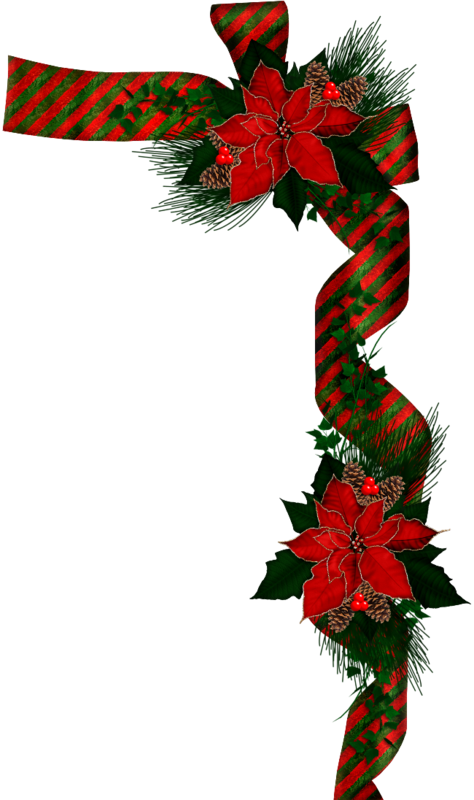 Transparent Christmas Poinsettia Christmas Card Flower Flora for Christmas