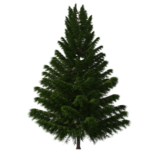 Transparent Artificial Christmas Tree Christmas Tree Christmas Fir Pine Family for Christmas