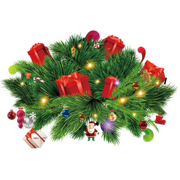 Transparent Christmas Christmas Eve Christmas Tree Evergreen Pine Family for Christmas