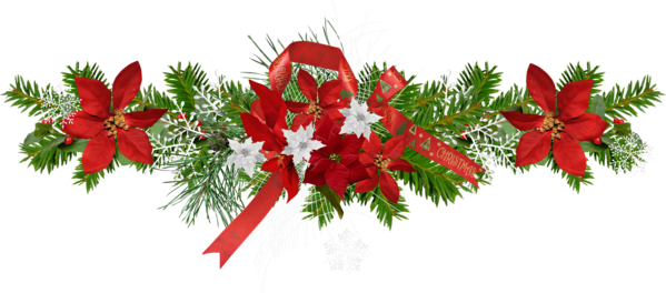Transparent Christmas Gift Flower Evergreen Pine Family for Christmas