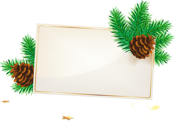 Transparent Christmas Paper Christmas Card Fir Pine Family for Christmas